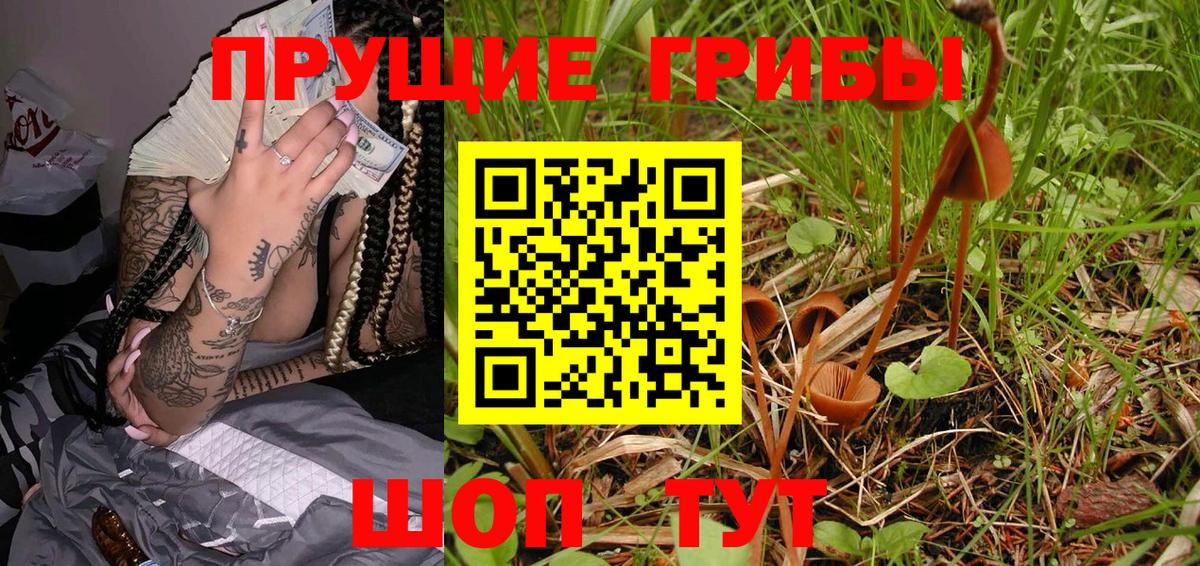 Галлюциногенные грибы Psilocybine cubensis  Вход с VPN  Белореченск 